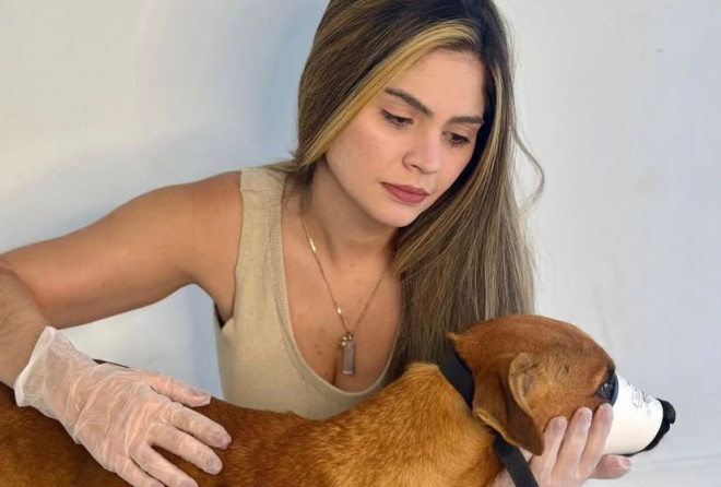 Marcelle Moraes repudia abandono de cão em via pública e pede providências