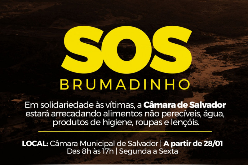 Câmara de Salvador recebe doações para vítimas de Brumadinho