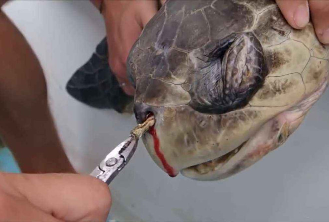 Uso de canudos plásticos está proibido em Salvador