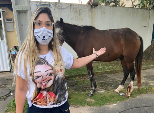 Marcelle Moraes participa do resgate de cavalo abandonado