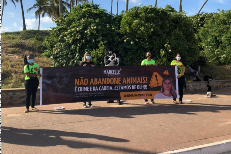 Operação busca extinguir colônia de gatos abandonados