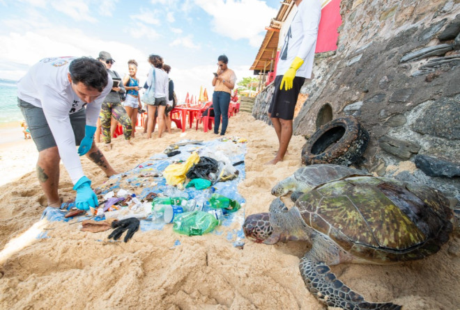 Aprovado projeto que incentiva cultura oceânica nas escolas