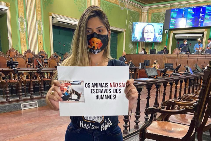 Câmara aprova proibição de veículos com tração animal