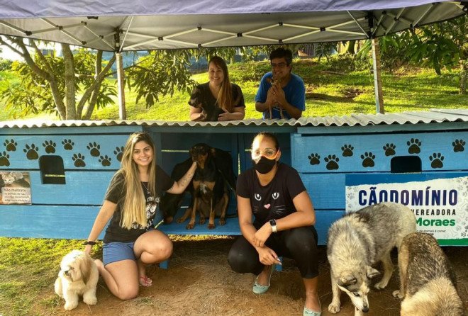 “Cãodomínio” para abrigar animais em situação de rua
