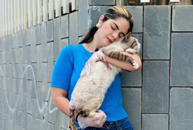 Câmara aprova criação da Casa de Apoio ao Protetor de Animais