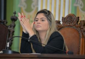 Indicação define responsabilidade para remoção de abelhas